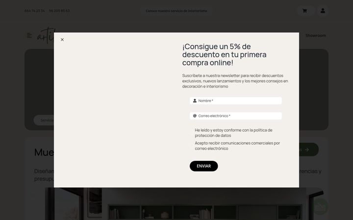 Posnetek zaslona artikane.com