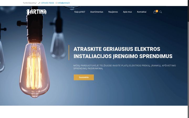 Screenshot of artina.lt