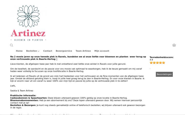 Screenshot of artinez.be