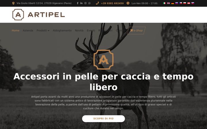 Capture d'écran de artipel.com