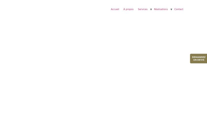 Capture d'écran de artis-construct.com