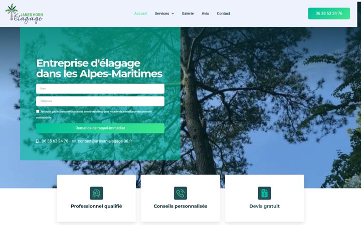 Képernyőkép: artisan-elagage-06.fr