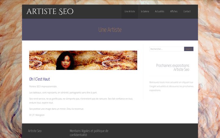 Screenshot von artiste-seo.fr