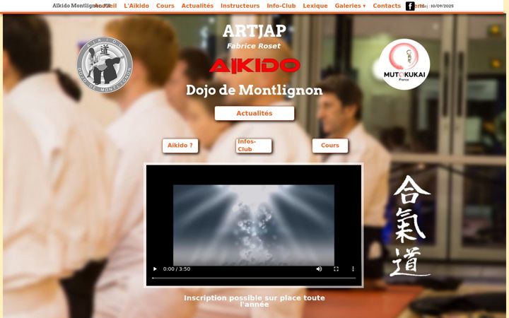 Capture d'écran de artjap.fr