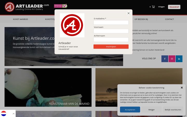 Skjámynd af artleader.com