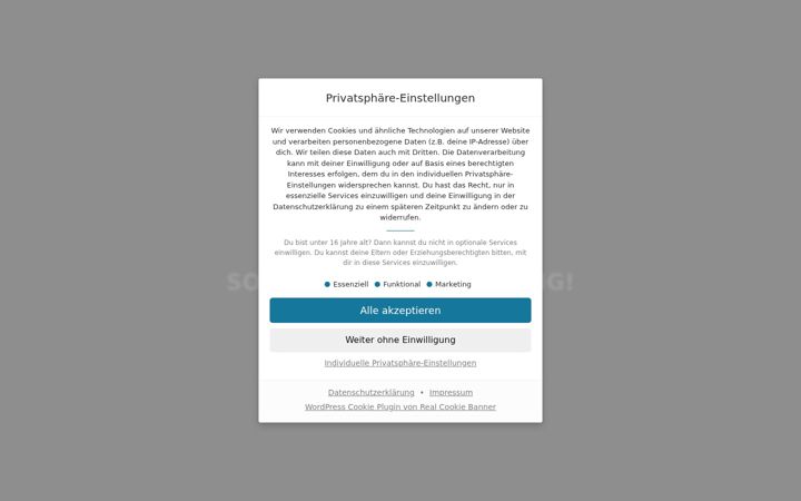 Snímek obrazovky artlistic.com