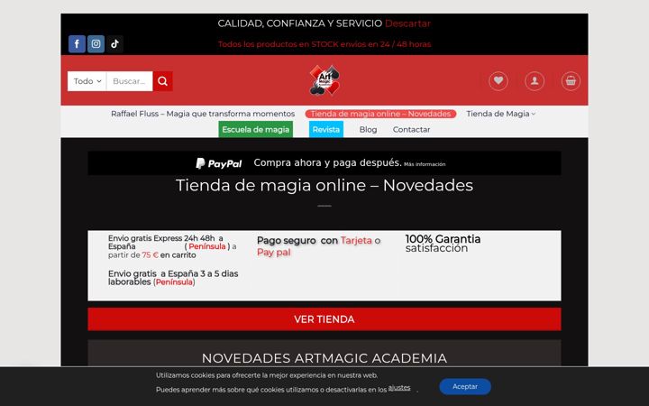 Screenshot of artmagicacademia.com