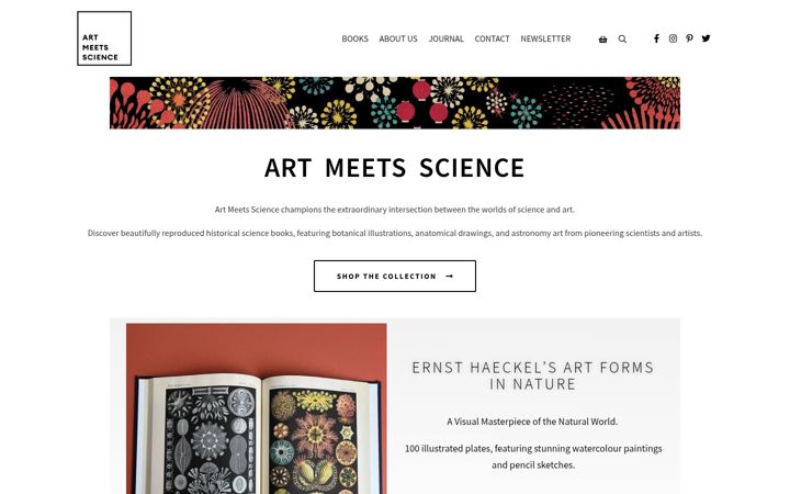 Captură de ecran a artmeetsscience.co