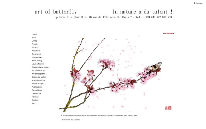 Screenshot of artofbutterfly.com