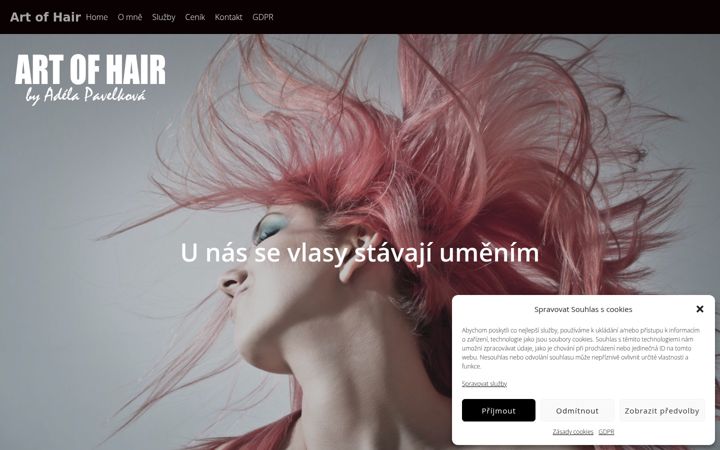 Screenshot of artofhair.cz