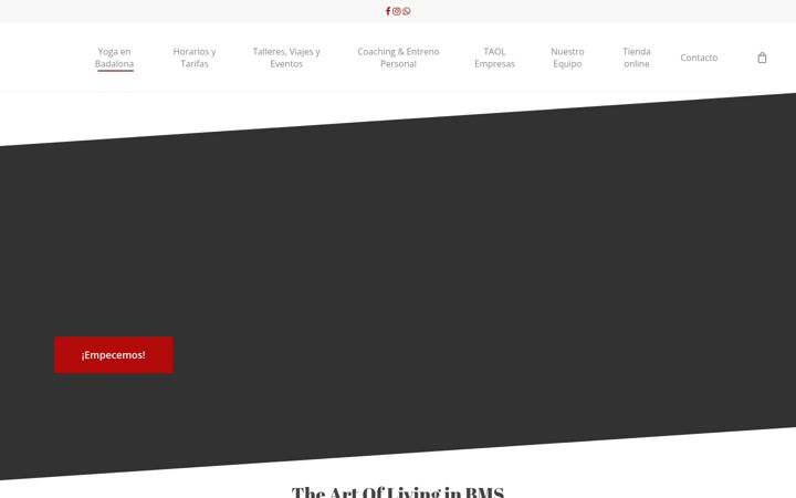 Screenshot of artoflivingbms.com
