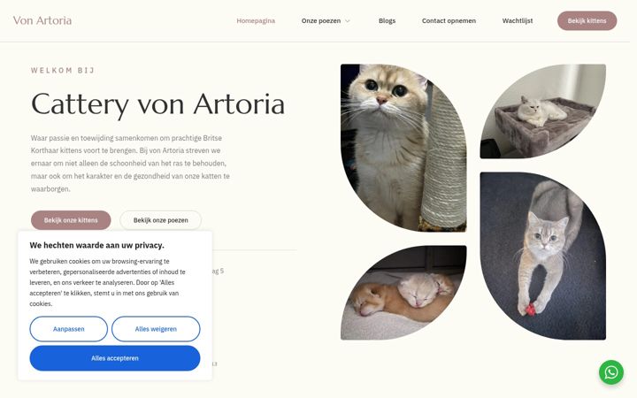 Screenshot of artoria.nl