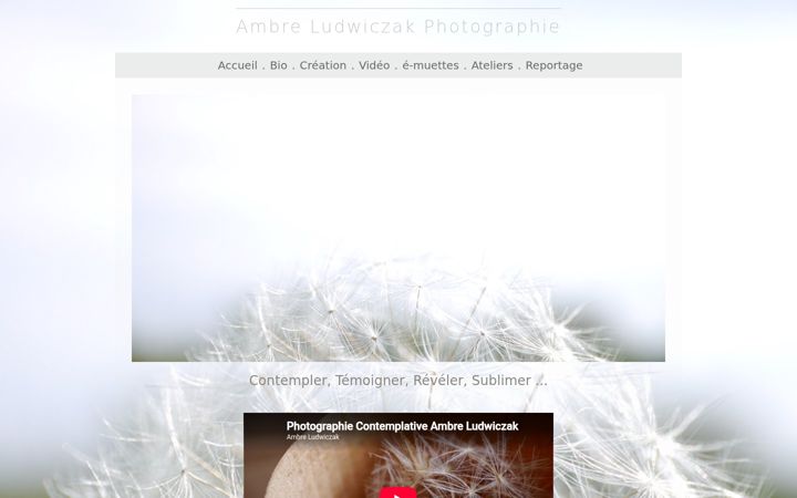 Zrzut ekranu artphoto-ambre.com