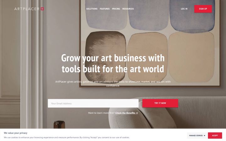 Zrzut ekranu artplacer.com