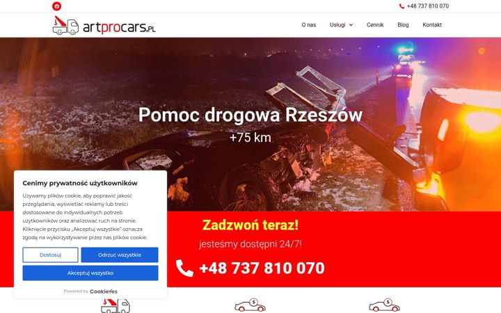 Captura de pantalla de artprocars.pl