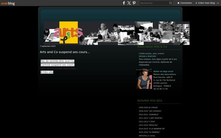 Screenshot of arts-and-co.com