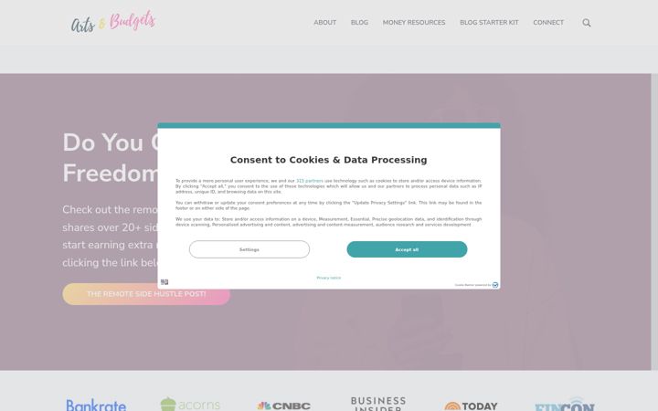 Screenshot of artsandbudgets.com