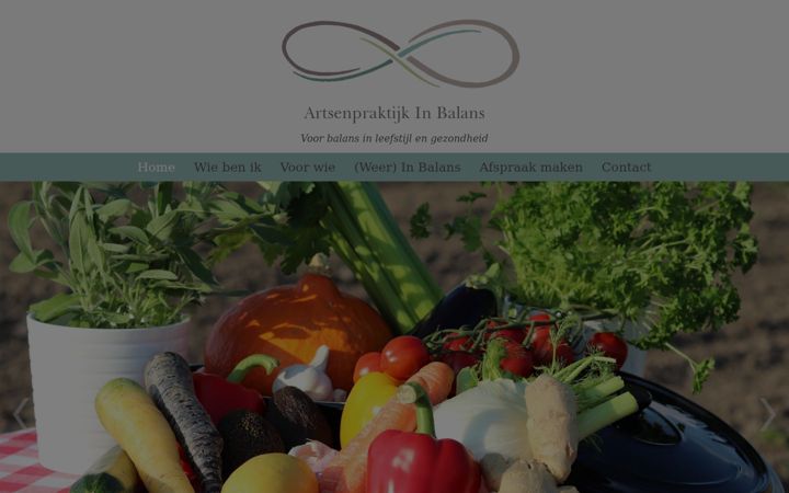 Screenshot of artsenpraktijkinbalans.nl