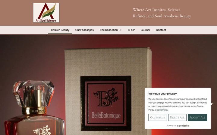 Screenshot of artsoulscience.com