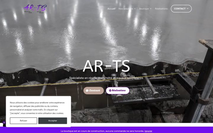Captura de ecrã de artsresines.fr