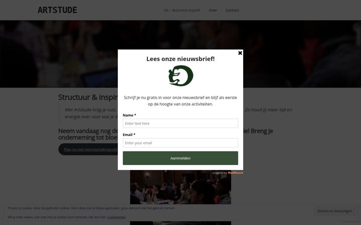 Screenshot of artstude.com