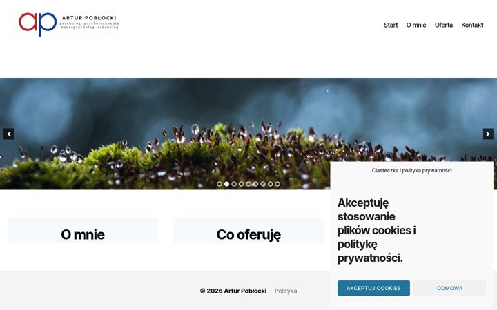 Screenshot of arturpoblocki.pl