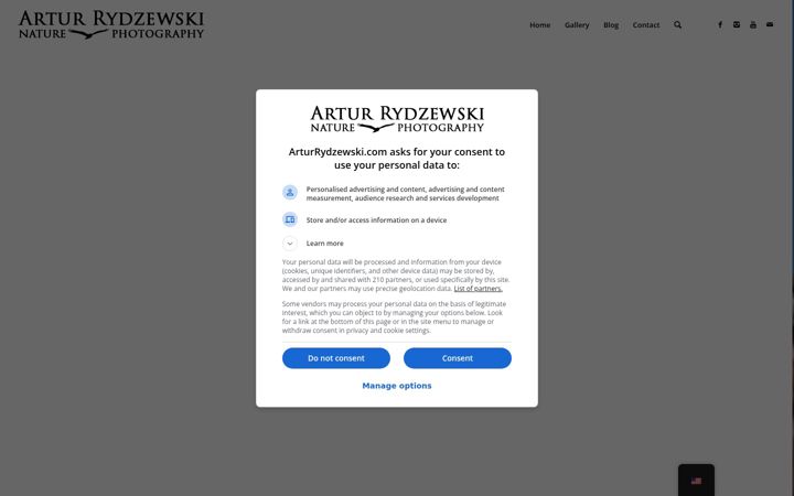 Zrzut ekranu arturrydzewski.com