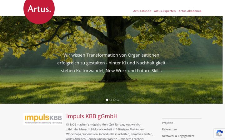 Captură de ecran a artus-experts.de