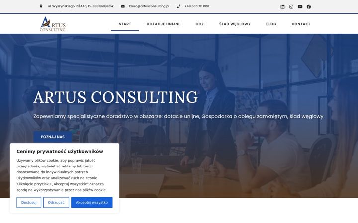 Screenshot of artusconsulting.pl