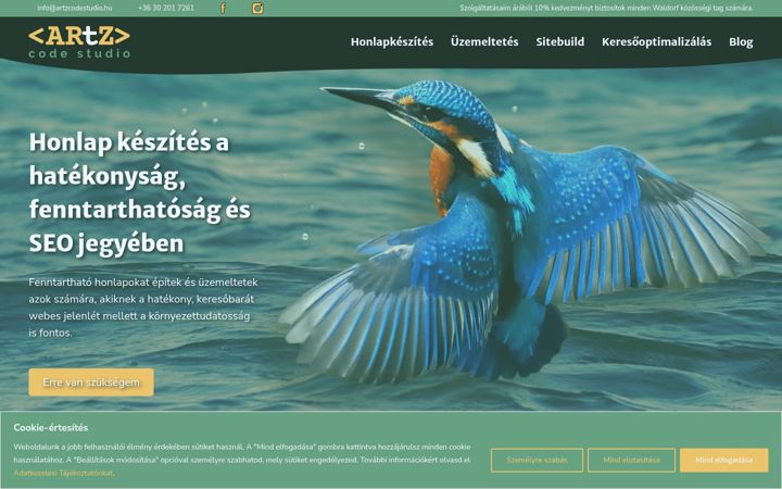 Screenshot of artzcodestudio.hu