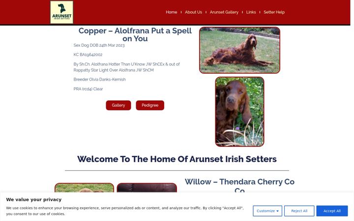 Screenshot of arunset.com