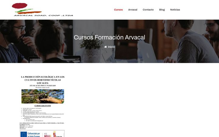 Screenshot of arvacal.es