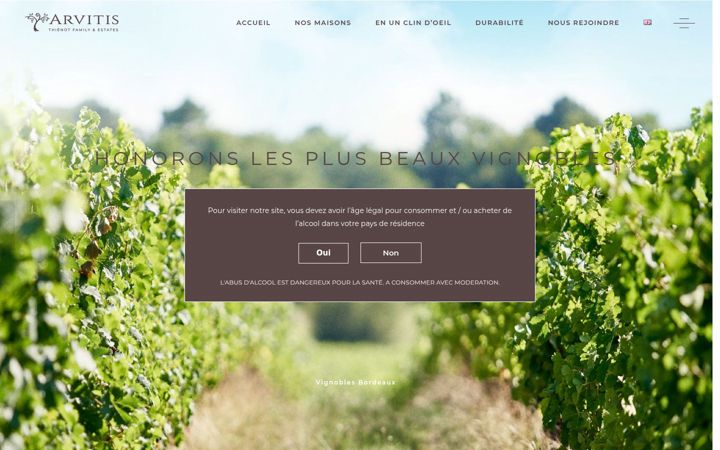 Screenshot di arvitis.fr