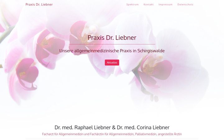 Zrzut ekranu arztpraxis-liebner.de