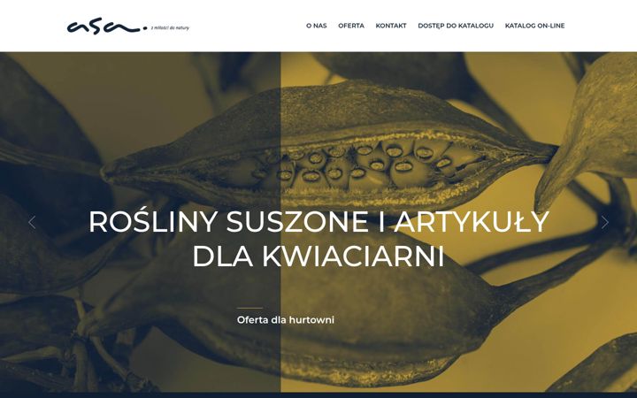 Screenshot of asa.com.pl