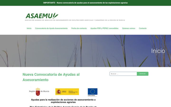 Screenshot stránky asaemu.es