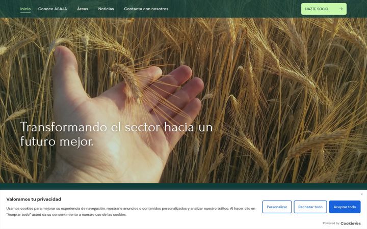 Ekrano kopija asajaalbacete.com