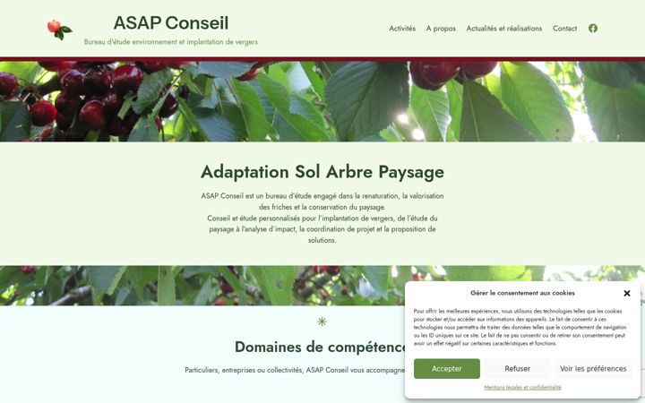 Screenshot of asap-conseil.net
