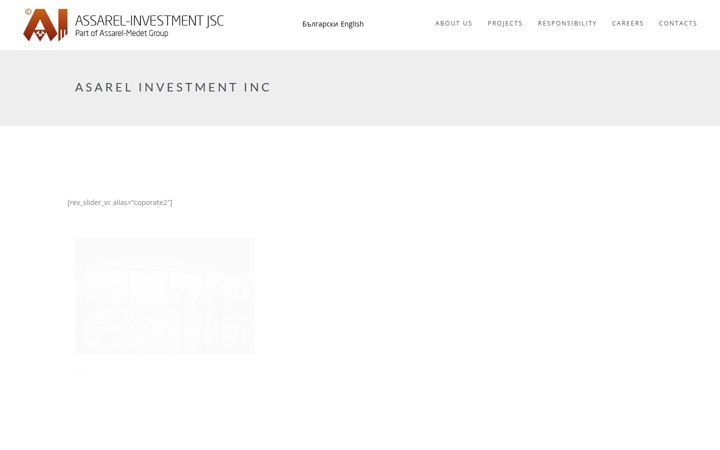 Capture d'écran de asarel-investment.com
