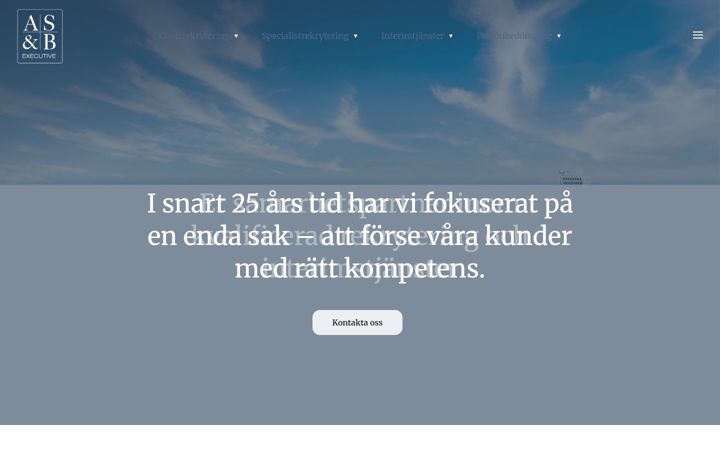Screenshot of asb-executive.se