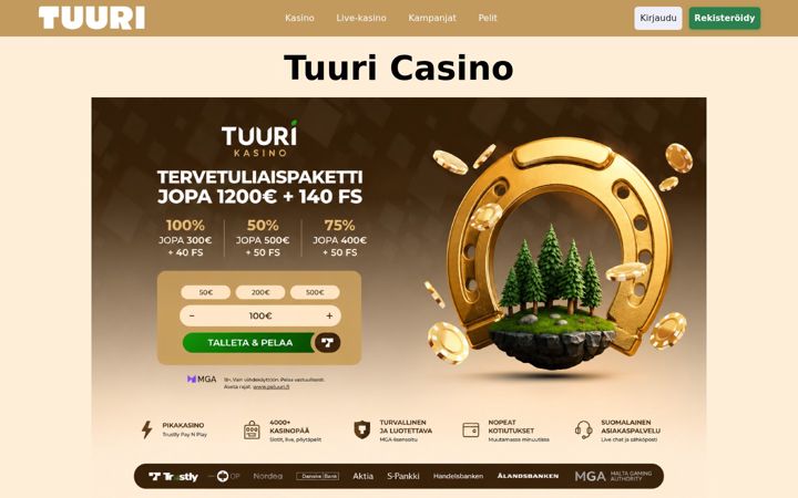 Screenshot of asbestipalvelut.fi