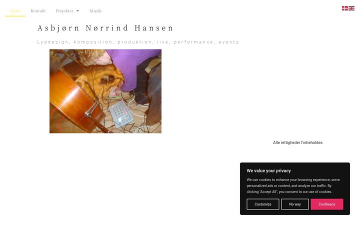 Screenshot of asbjorn-noerrind.dk