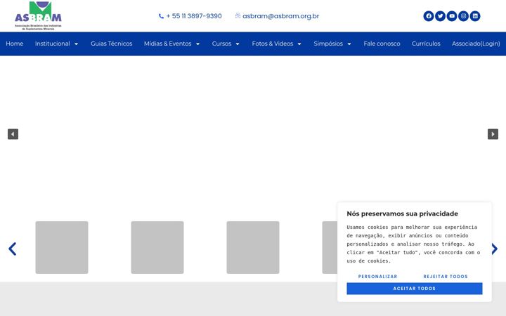 Posnetek zaslona asbram.org.br