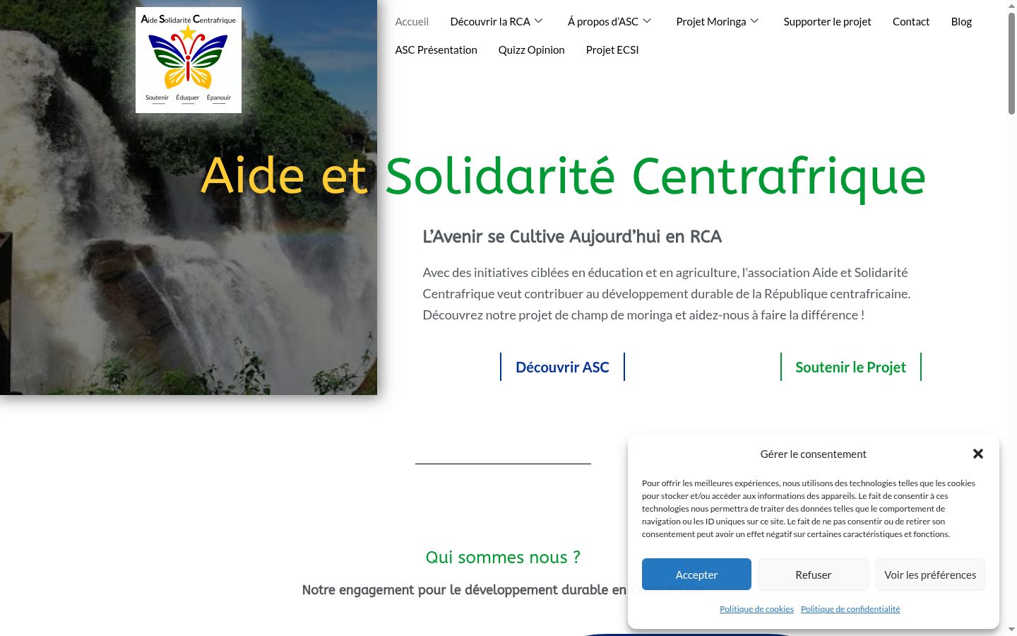 Screenshot of the consent banner shown before any interaction