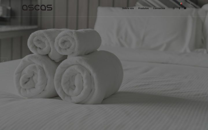 Screenshot of ascas.pt