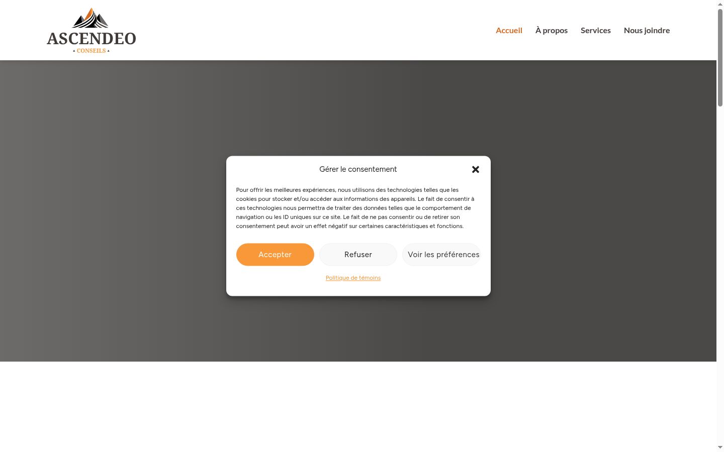 Screenshot of the consent banner shown before any interaction