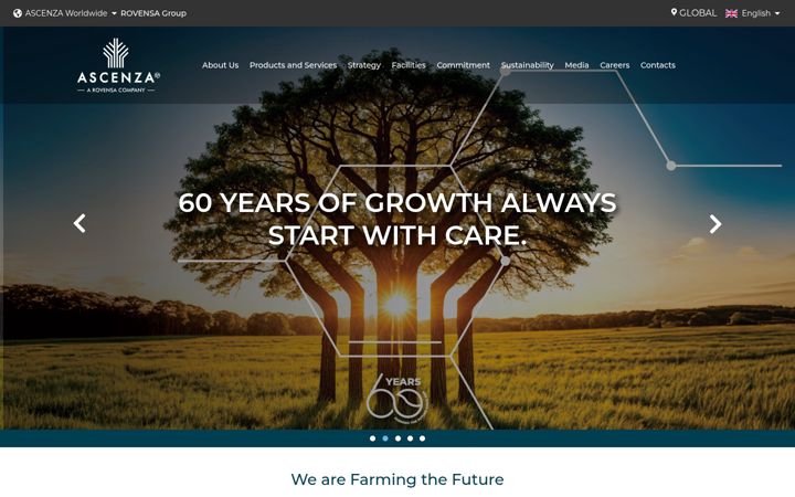 Screenshot of ascenza.com