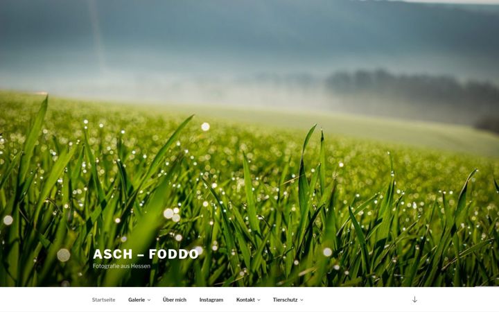 Screenshot of asch-foddo.de