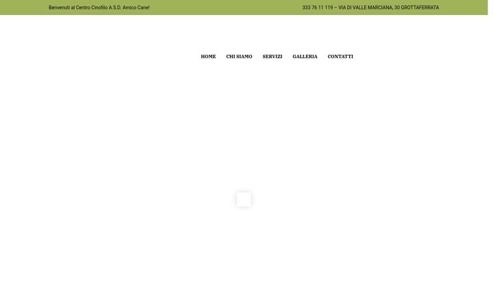 Screenshot of asdamicocanegrottaferrata.it