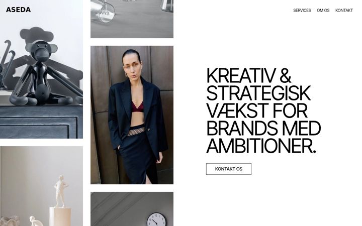 Screenshot of aseda.dk